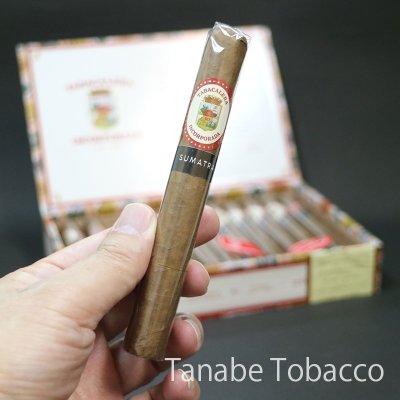 画像2: タバカレラ コロナ スマトラ（1本）