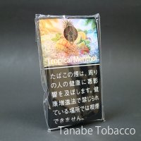 ブラックスパイダー トロピカルメンソール（30g）