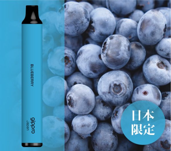 画像4: gippro neo（ジップロ ネオ）フレーバースティック (4)