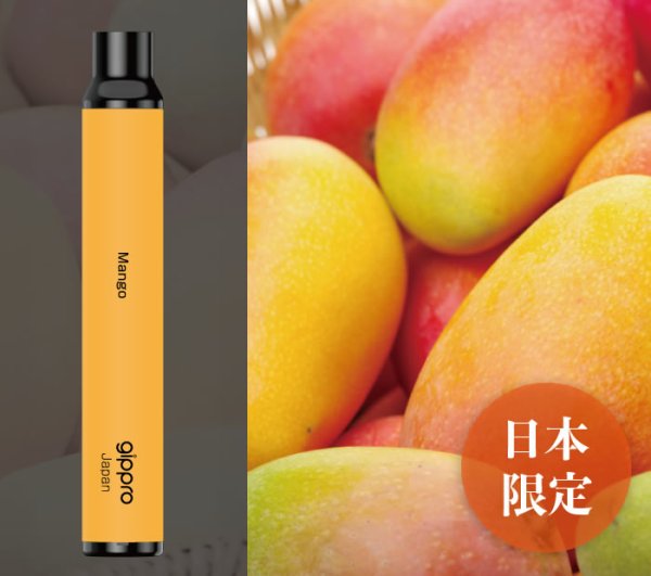 画像11: gippro neo（ジップロ ネオ）フレーバースティック (11)