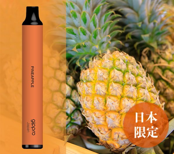 画像14: gippro neo（ジップロ ネオ）フレーバースティック (14)