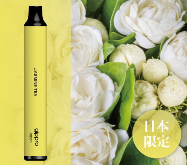 画像5: gippro neo（ジップロ ネオ）フレーバースティック (5)