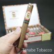 画像2: タバカレラ コロナ スマトラ（1本） (2)