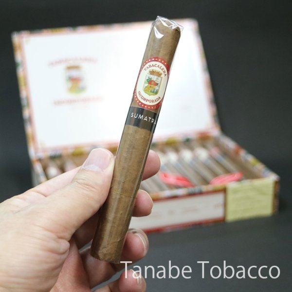 画像2: タバカレラ コロナ スマトラ（1本） (2)