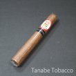 画像1: タバカレラ コロナ スマトラ（1本） (1)