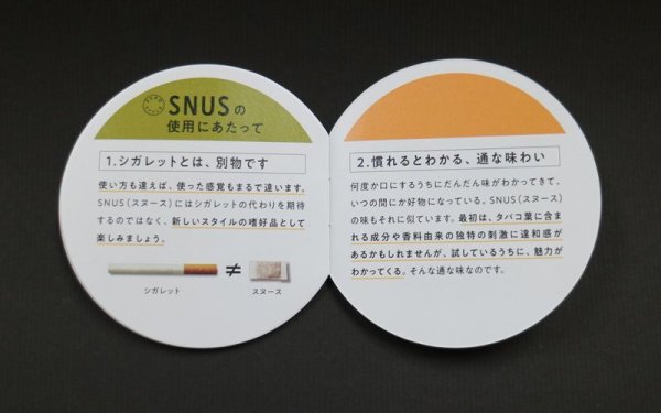 画像6: ゼロスタイル・スヌース・リッチストロング (6)